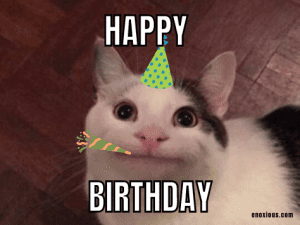 21 Amusing Happy Birthday Cat Meme Ideas