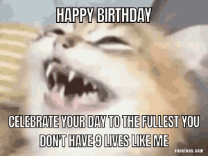 21 Amusing Happy Birthday Cat Meme Ideas