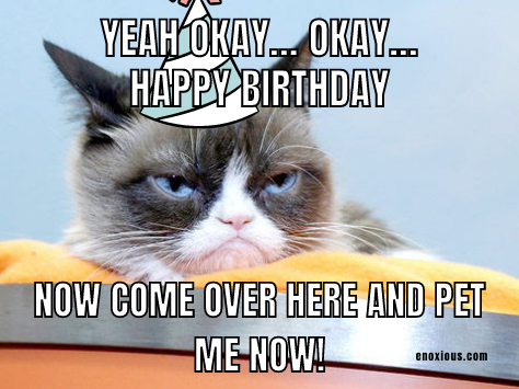 21 Amusing Happy Birthday Cat Meme Ideas