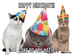 21 Amusing Happy Birthday Cat Meme Ideas