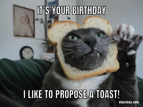 21 Amusing Happy Birthday Cat Meme Ideas