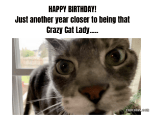 21 Amusing Happy Birthday Cat Meme Ideas