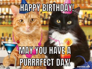 21 Amusing Happy Birthday Cat Meme Ideas