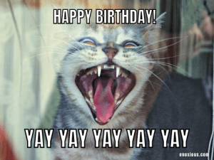 21 Amusing Happy Birthday Cat Meme Ideas